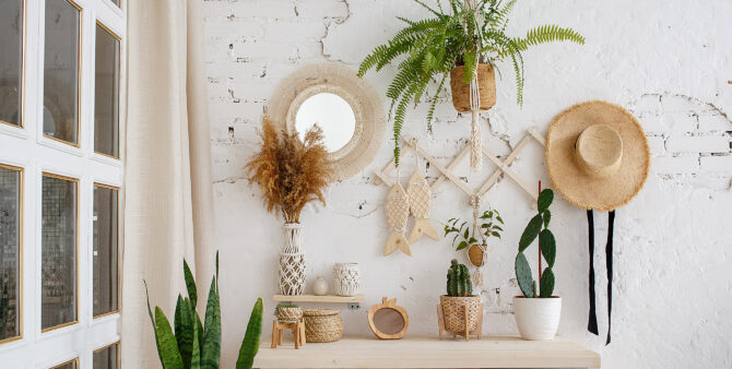 5 plant ideas for your home