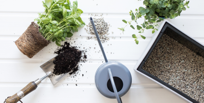 A herb garden on your windowsill