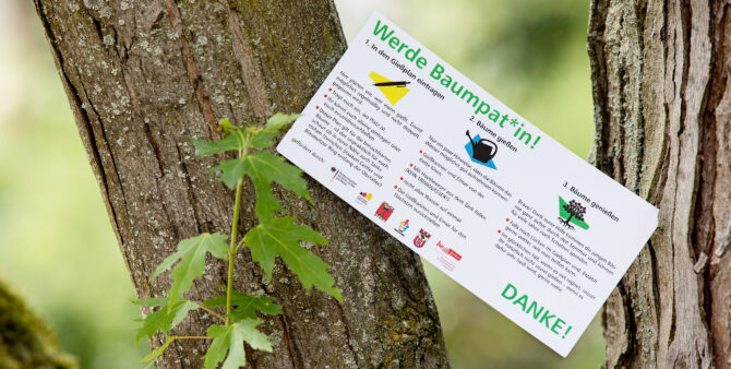 Flyer zur Baumpatenschaft an einem Baum.