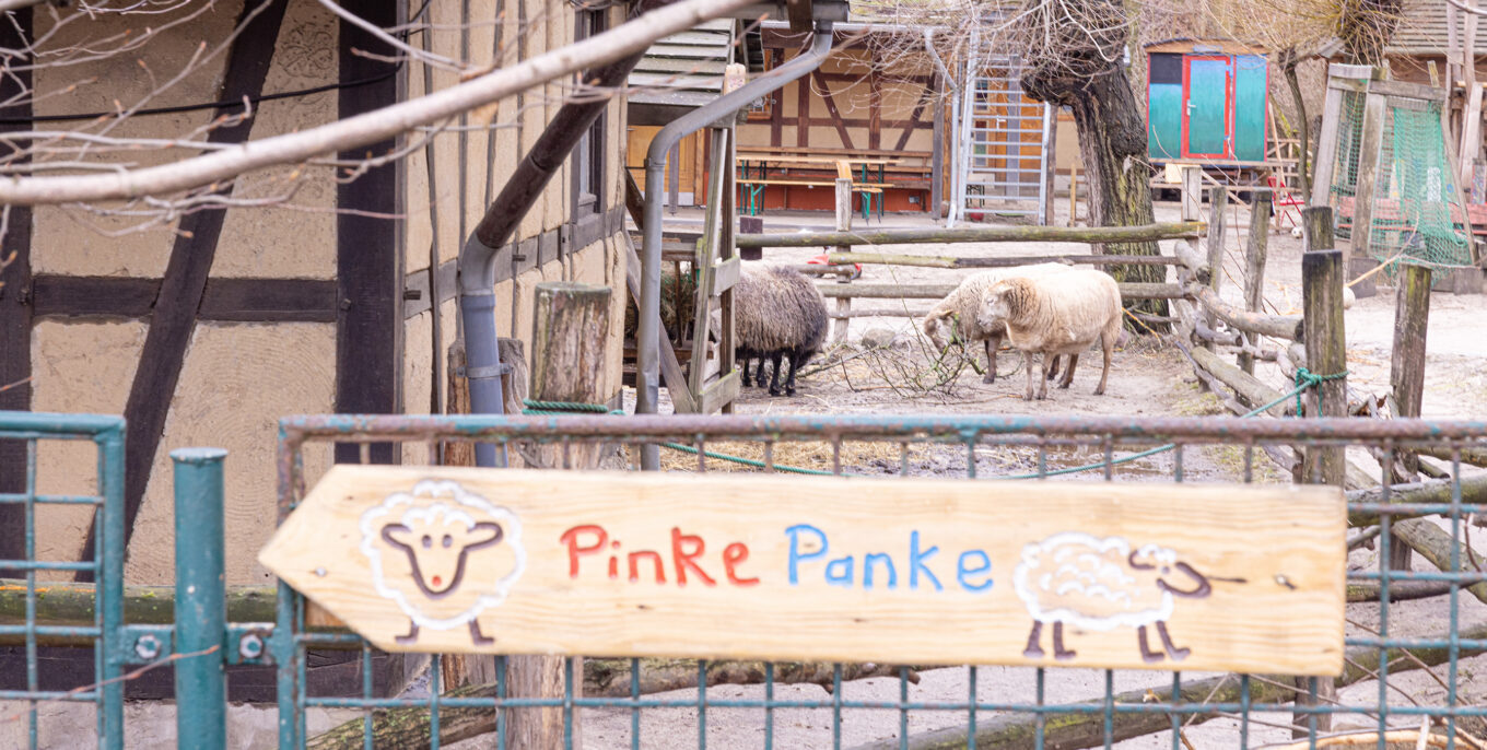 Der Eingangsbereich des Kinderbauernhofs Pinke Panke. Im Hintergrund sieht man Schafe.