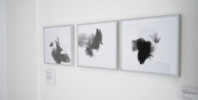 Drei gerahmte Bilder an einer weißen Wand mit schwarzweißen, abstrakten Motiven.