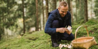 Mann sammelt Pilze im Wald, kniend mit einem Korb, in einer grünen, bewaldeten Umgebung.