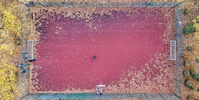 Aufnahme aus der Vogelperspektive: Ein Fußballkäfig, der an den Rändern mit Herbstlaub bedeckt ist. In der Mitte steht eine Person. Foto: Felix Seyfert
