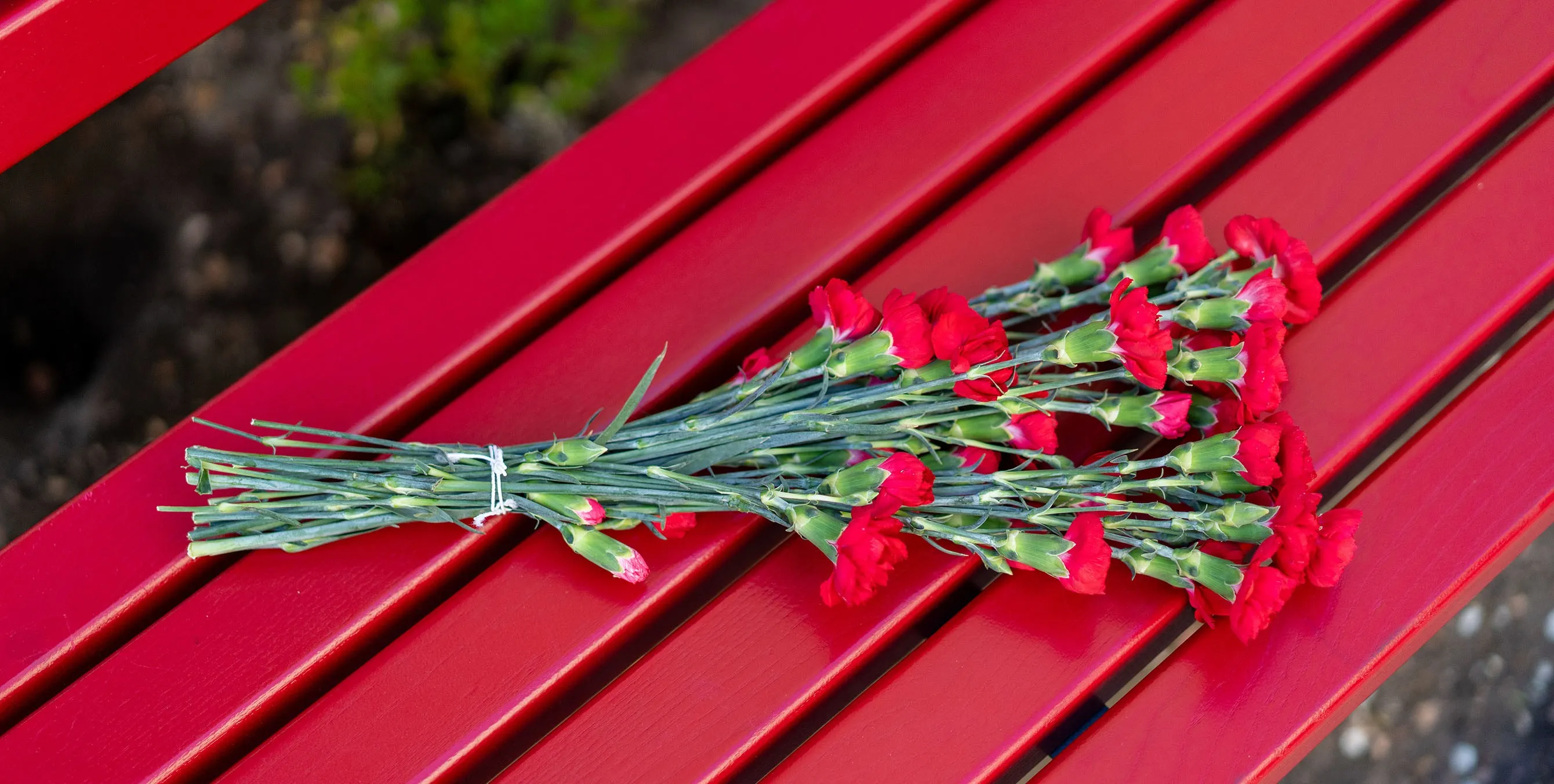 Großaufnahme aus der Vogelperspektive: Ein Blumenstrauß mit roten Blüten liegt auf der Sitzfläche einer roten Bank. Foto: Ralph Maak