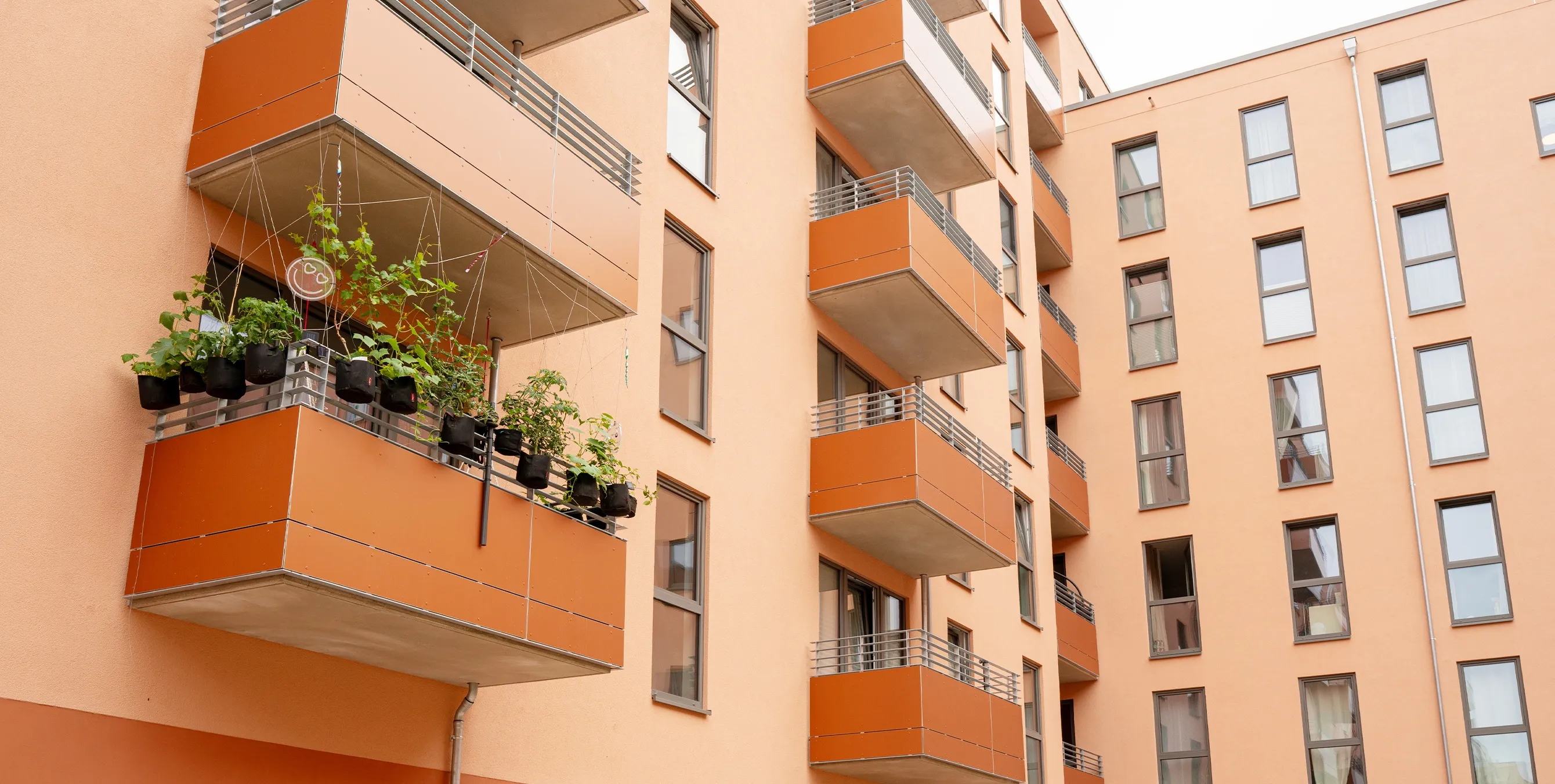 Eine orangefarbene Hausfassade eines Neubaus mit vielen Fenstern und zahlreichen Balkonen. Einer der Balkone ist opulent begrünt. Foto: Ralph Maak