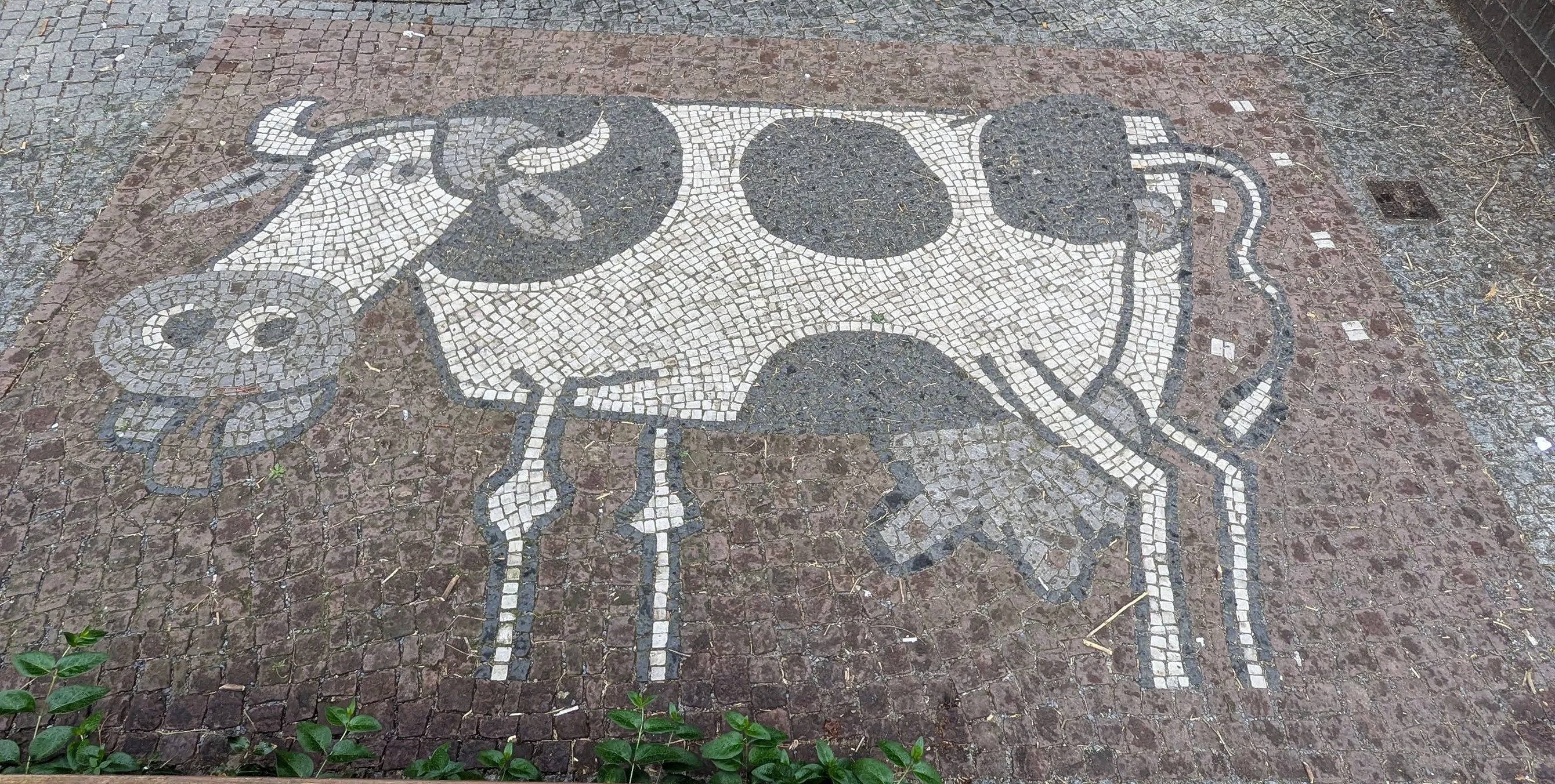 Großaufnahme: Ein Mosaik in einem Gehsteig, dass eine schwarz-bunte Kuh zeigt. Foto: Michael Bienert